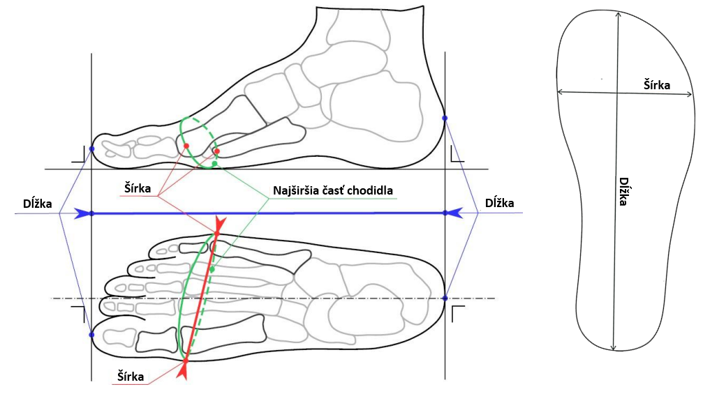 barefoot obuv Mitochondriak