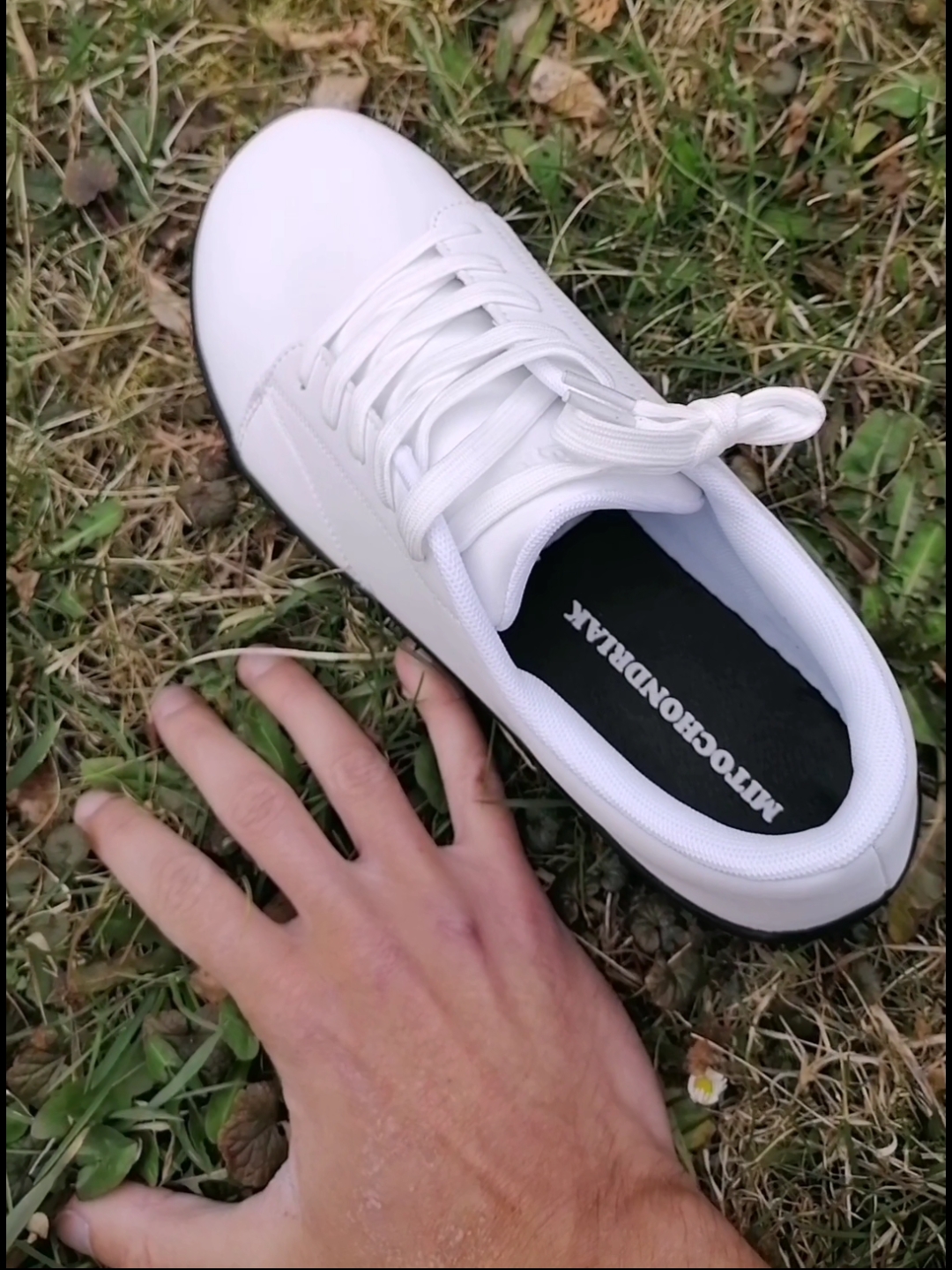 Mitochondriak - red, nir and UV light therapy devices, blue light blocking glasses and indoor lightning solutions